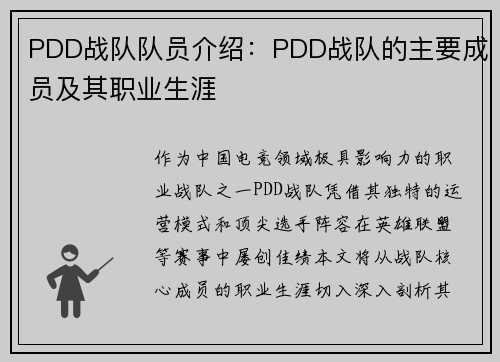PDD战队队员介绍：PDD战队的主要成员及其职业生涯